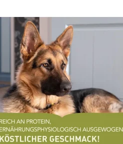 ACANA Trockenfutter Hund > Trockenfutter für Hunde Heritage Adult Large Breed Recipe