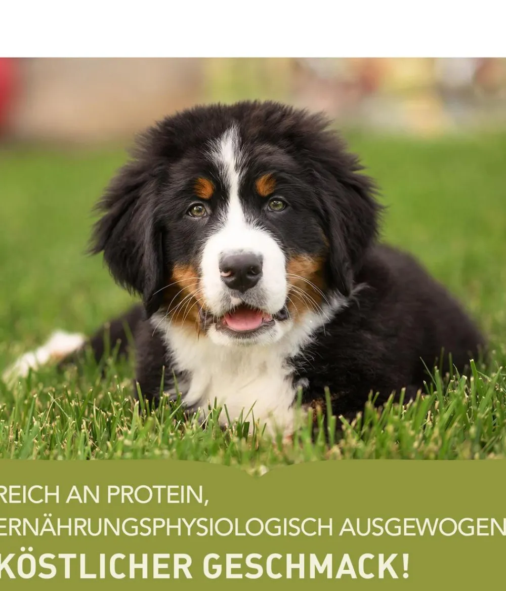 ACANA Trockenfutter für Hunde Heritage Puppy Large Breed Recipe Outlet