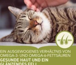 ACANA Trockenfutter für Katzen Regionals Cat Grasslands Best