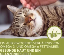 ACANA Trockenfutter Katze - Trockenfutter für Katzen Adult Cat Indoor Entrée