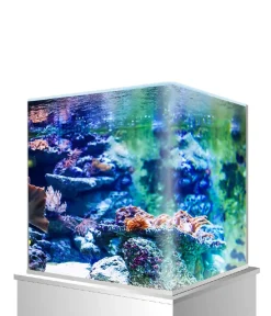 amtra Einsteiger Aquarien > Aquarium Nanotank