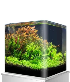 amtra Einsteiger Aquarien - Aquarium Nanotank
