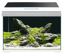 amtra Einsteiger Aquarien - Aquarium-Set Modern Tank 40 LED, 28 l, , ca. B42,5/H36,5/T23,5 cm Weiß