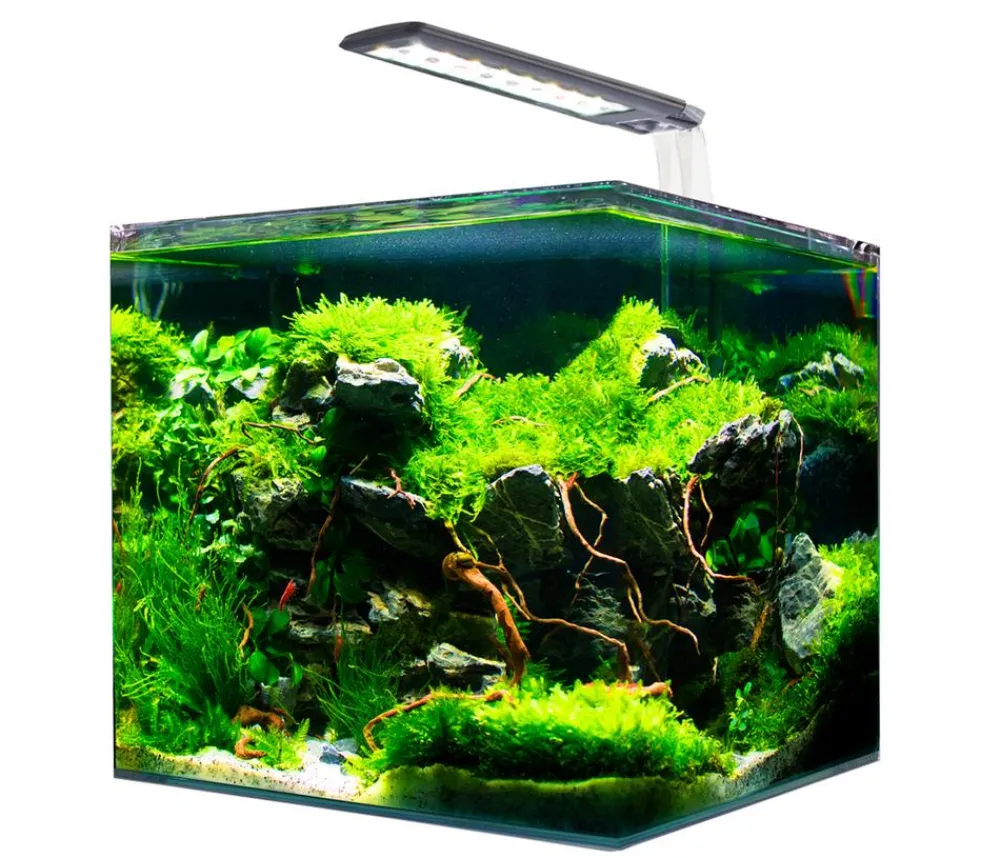 amtra Aquarium-Set Nanotank System Outlet