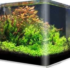 amtra Aquarium-Set Nanotank System Outlet