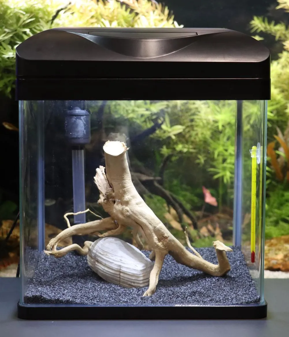 amtra Einsteiger Aquarien > Aquarium-Set Wave Laguna 30 LED, 18 l, , ca. B30/H34,5/T23,5 cm
