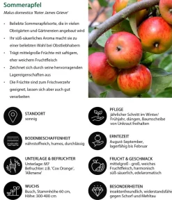 Dehner Apfel-Duo 'Elstar/James Grieve' Rot Best