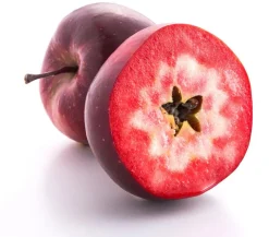 Dehner Apfel 'Vampira' Rot Discount