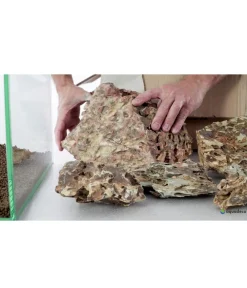 aquadeco Deko > Aquariumdeko Set Drachenstein