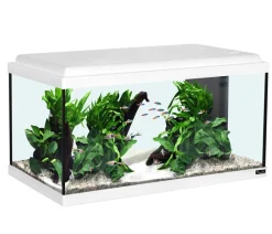 aquatlantis Aquarium Advance 60 LED Set Weiß Online