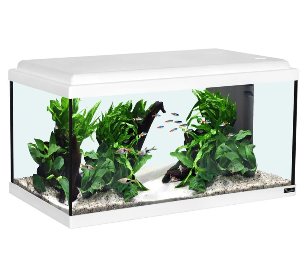 aquatlantis Aquarium Advance 60 LED Set Weiß Online