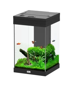 aquatlantis Einsteiger Aquarien|Einzel Aquarien > Aquarium Aqua Tower 43