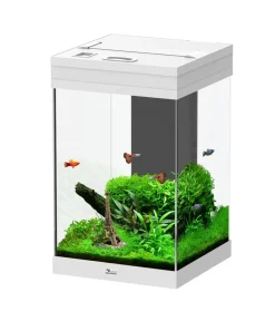 aquatlantis Einsteiger Aquarien|Einzel Aquarien - Aquarium Aqua Tower 43 Weiß