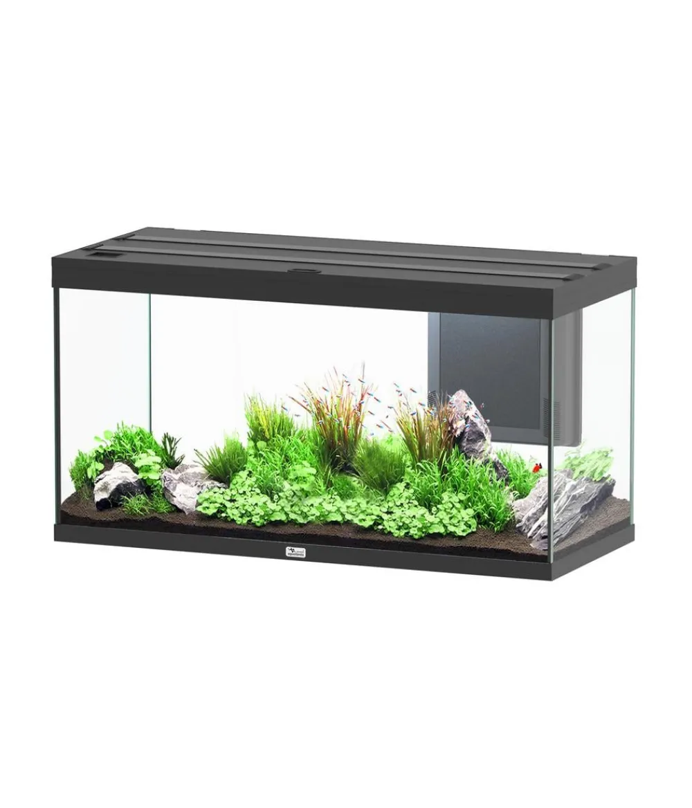 aquatlantis Einzel Aquarien - Aquarium Volga 350 Schwarz