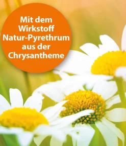 ARDAP® Zecken- und Flohschutz Spot-On für Katzen bis 4 kg, 3 x 0,4 ml Discount