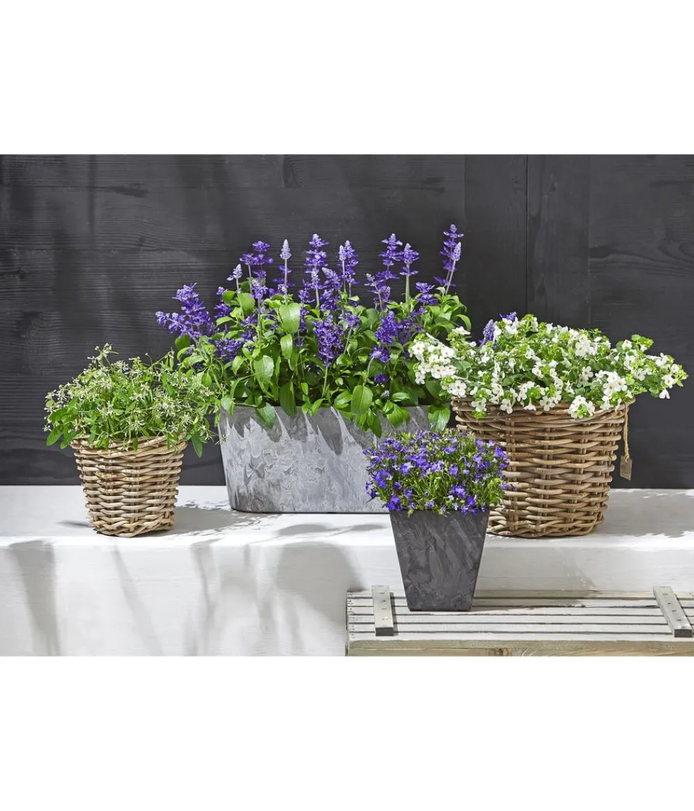 Artstone Pflanzkübel & Blumenkästen > Kunststoff-Balkonkasten Claire