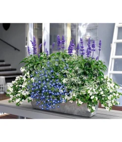 Artstone Pflanzkübel & Blumenkästen - Kunststoff-Blumenkasten Ella Grau
