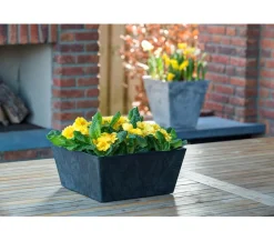 Artstone Kunststoff-Schale Ella, quadratisch Schwarz New