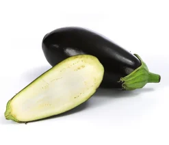Dehner Aubergine Lila Best