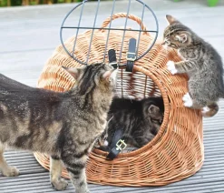 Aumüller Korbwaren Mehr Katzenzubehör|Hundetransportboxen - Aumüller Korbhöhle mit Gitter Hellbraun