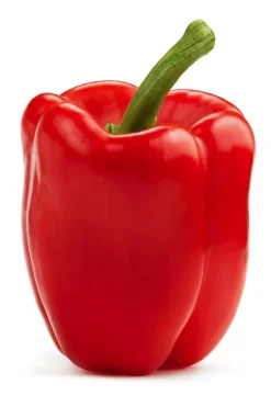 Dehner Peperoni- & Paprikapflanzen > Balkonpaprika