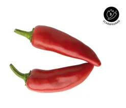 Dehner Basken-Peperoni Rot Sale