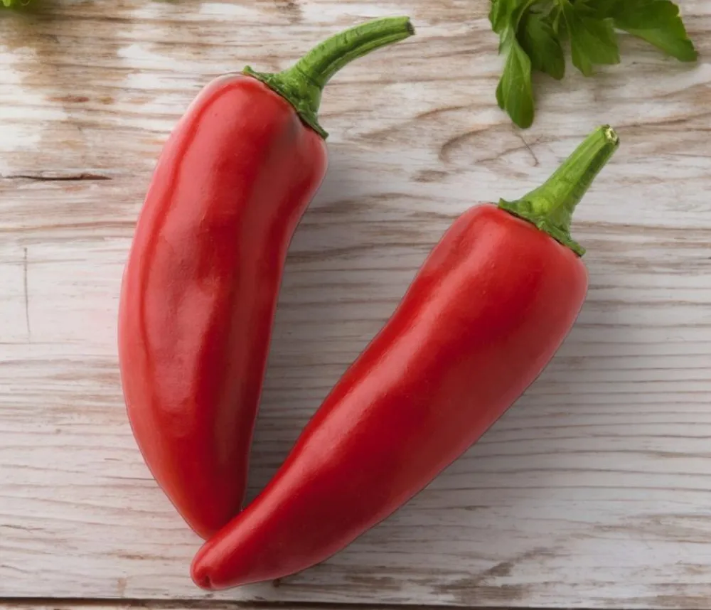 Dehner Basken-Peperoni Rot Sale