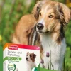 Beaphar Ungezieferschutz|Hundepflege & Hygiene - Spot On für kleine Hunde, 3x1 ml