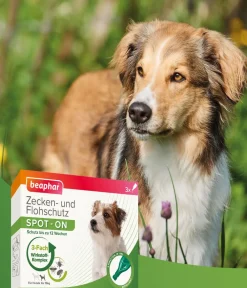 Beaphar Ungezieferschutz|Hundepflege & Hygiene - Spot On für kleine Hunde, 3x1 ml
