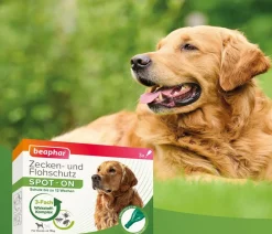 Beaphar Zecken- & Flohschutz SPOT-ON für Hunde, 3x2 ml Online