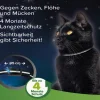 Beaphar Zecken- und Flohschutzband für Katzen, 35 cm Hot