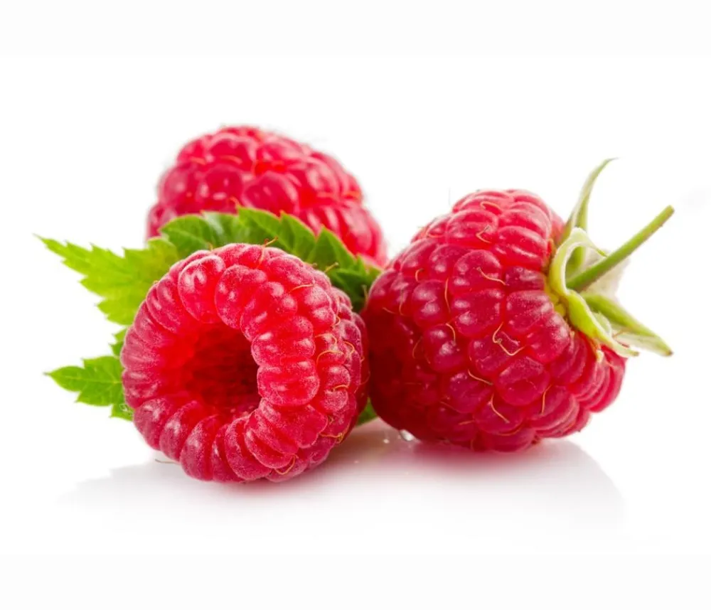Dehner Beeren-Sets|Beerensträucher > Beeren-Kiwi-Set Smoothie-Mix, 4-teilig