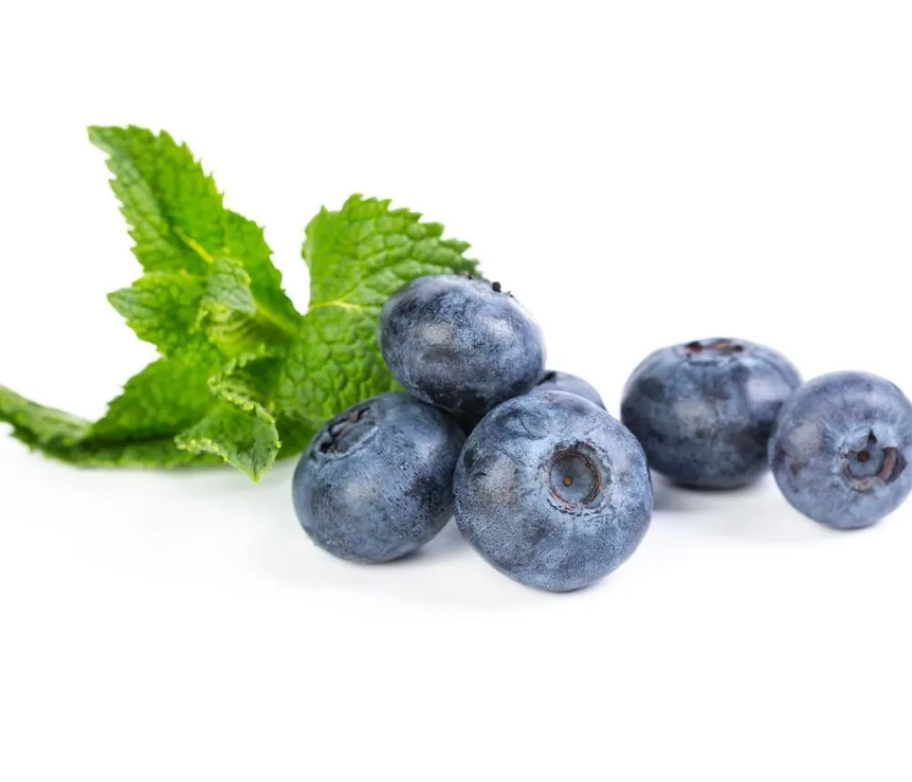 Dehner Beeren-Sets|Beerensträucher > Beeren-Kiwi-Set Smoothie-Mix, 4-teilig