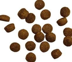 BELCANDO® Trockenfutter für Hunde Baseline Ranger Adult, Rind, 12,5 kg New