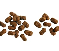 BELCANDO® Trockenfutter Hund > Trockenfutter für Hunde Baseline Young, Junior, Geflügel, 12,5 kg