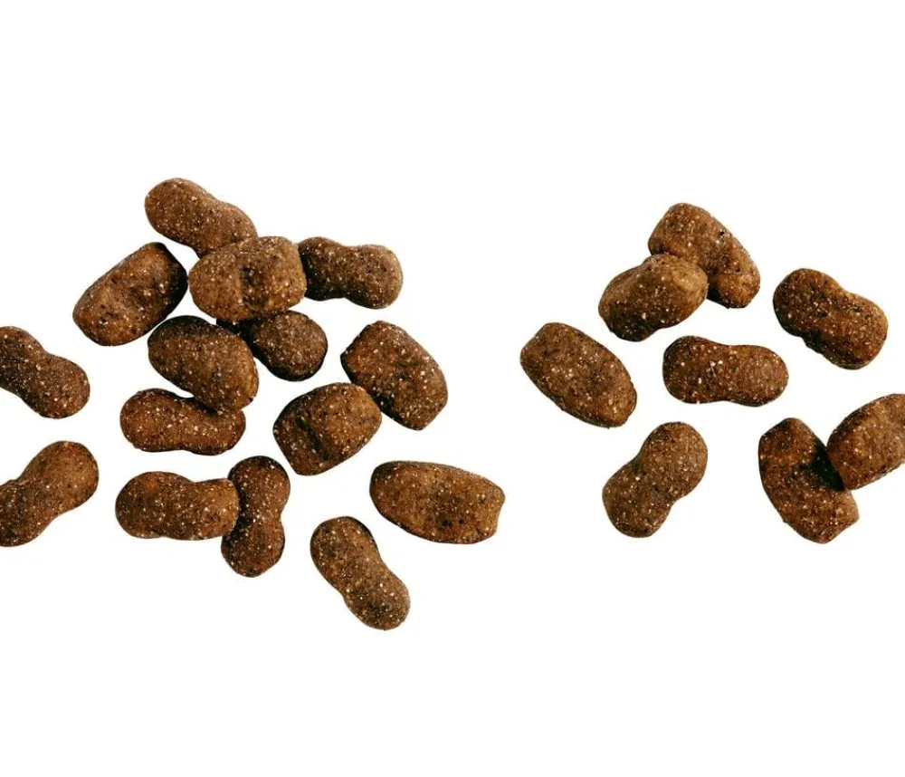 BELCANDO® Trockenfutter Hund > Trockenfutter für Hunde Baseline Young, Junior, Geflügel, 12,5 kg