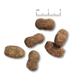 BELCANDO® Trockenfutter Hund - Trockenfutter für Hunde Adult, Iberico & Rice