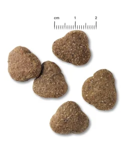 BELCANDO® Trockenfutter Hund - Trockenfutter für Hunde Junior, Lamb & Rice