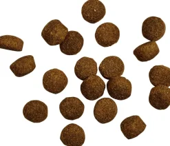 BELCANDO® Trockenfutter Hund > Trockenfutter für Hunde Baseline Buddy, Adult, Geflügel, 12,5 kg