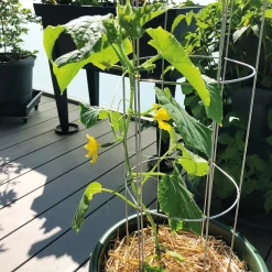 Bellissa Gurkenturm, 120 cm - Ø 20 cm Sale
