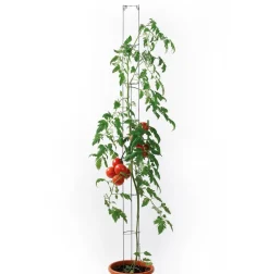Bellissa Metall-Tomatensäule, Grün Clearance