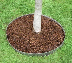 Bellissa Rasenkante, verzinkt, ca. B118/H12,5 cm Hellgrau Best