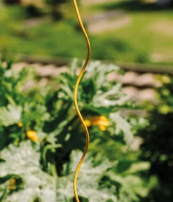 Bellissa Stahl-Tomatenspirale Colorata Gelb Best