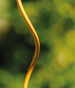 Bellissa Rankstäbe - Stahl-Tomatenspirale Colorata Gelb