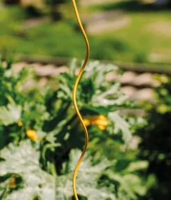 Bellissa Rankstäbe - Stahl-Tomatenspirale Colorata Gelb