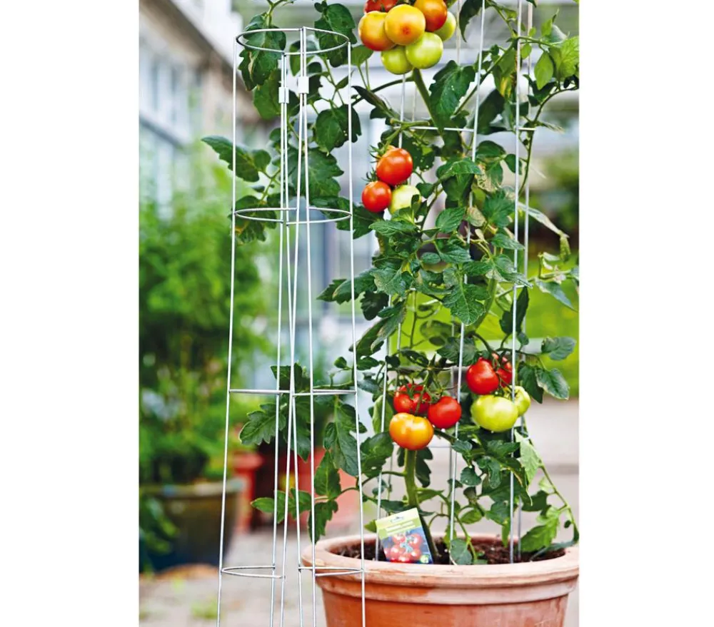 Bellissa Rankgitter & Obelisken > Tomatenturm