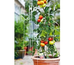 Bellissa Rankgitter & Obelisken - Tomatenturm Silber
