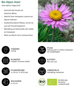 Dehner Bio Steingartenstauden|Bio Stauden > Bio Alpen-Aster 'Happy End'
