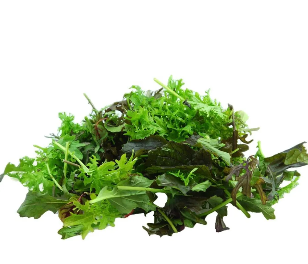 Dehner Bio Bio Asia Wildkräuter im Pottburri®-Topf Sale