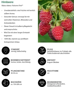 Dehner Bio Beeren-Sets|Bio-Obststräucher > Bio Beeren-Set Frühstücksobst, 3-teilig